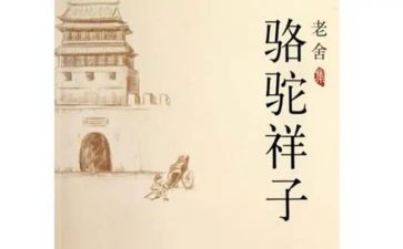 骆驼岩作文最新8篇