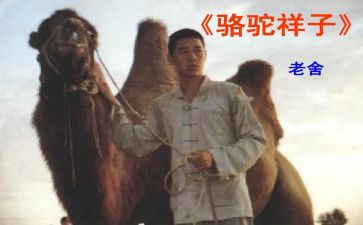 初中骆驼祥子的读后感推荐5篇