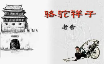 骆驼的读后感精选6篇