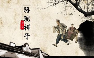 骆驼祥子第十二章读后感7篇