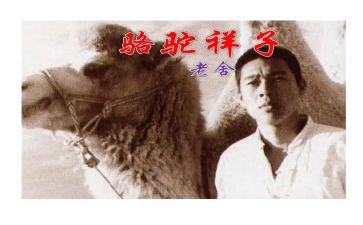 骆驼的读后感模板6篇