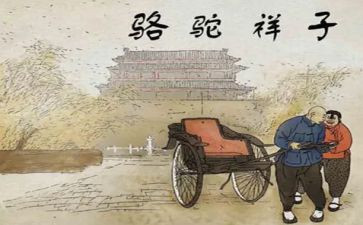 骆驼的读后感7篇