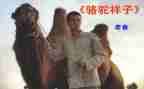 小骆驼教案7篇