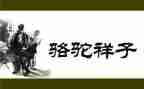 骆驼读后感400字5篇
