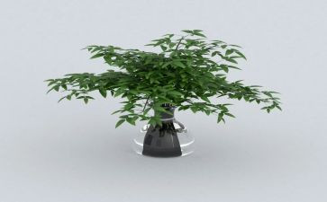 珍爱绿色的演讲稿6篇
