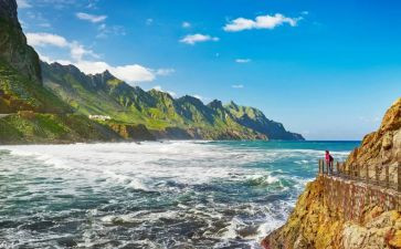 去旅行小班教案8篇