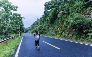 陈的旅行读后感模板6篇