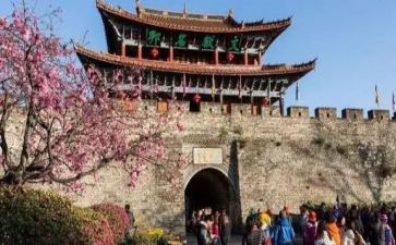 去旅游作文300字精选5篇