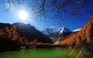 旅游专业毕业生自我鉴定5篇