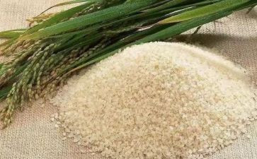 卖米的读后感8篇