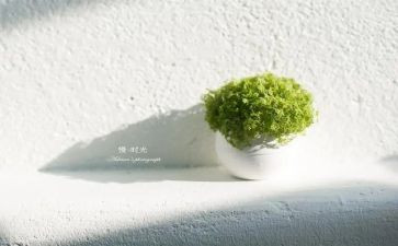 怕,慢,假,庸,散自查报告优质8篇