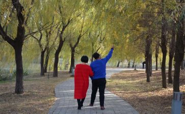 西湖漫步作文6篇