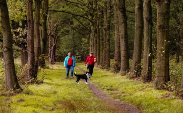 西湖漫步作文参考8篇