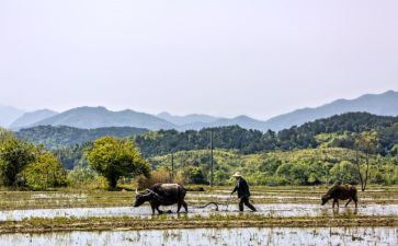 忙与闲为主题的作文8篇