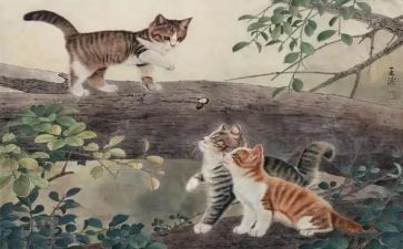 有趣的小猫作文模板7篇