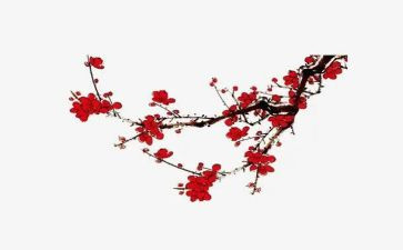 梅花赞作文300字8篇