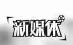 关于自媒体工作总结6篇