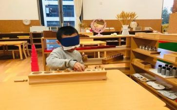 幼儿园蒙氏教育心得参考6篇