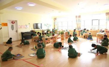 幼儿园蒙氏教育心得最新5篇