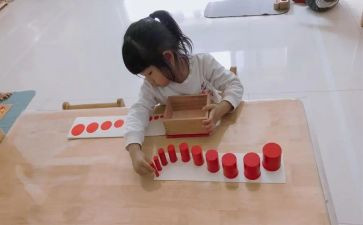 蒙氏幼儿园入职的心得体会8篇