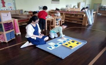 幼儿园蒙氏教育心得优质8篇