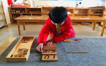 蒙氏教师月总结精选8篇