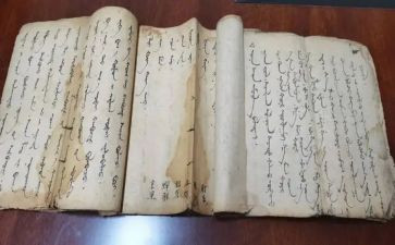 蒙医医生述职报告精选5篇