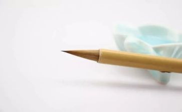 着迷的书作文最新8篇
