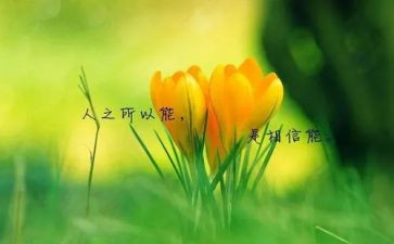 数名人演讲稿7篇