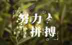 读名人传演讲稿参考7篇
