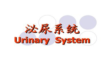 泌尿科实习心得7篇