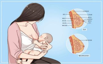 母乳喂养的宣传活动总结8篇