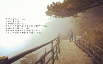 目送读后感800字6篇