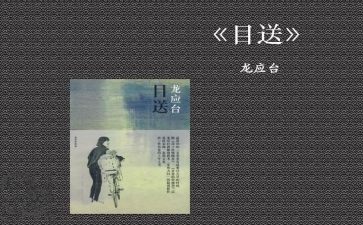 目送的读后感参考7篇
