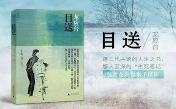 目送读后心得8篇