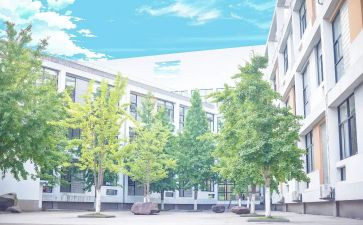 写母校的演讲稿优质8篇