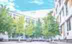 写母校的演讲稿优质8篇