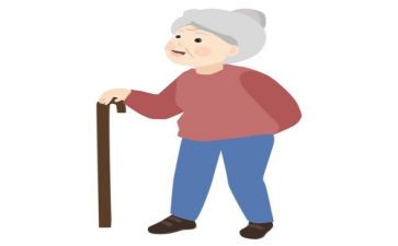 猫奶奶作文优质8篇