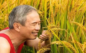 农夫与蛇读后感5篇