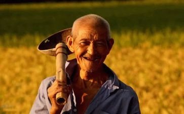 农民房租房合同6篇