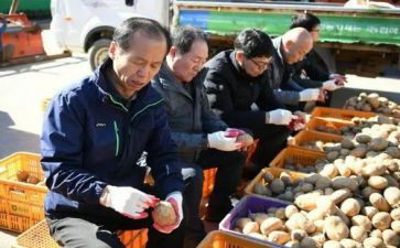 农政局的申请书5篇