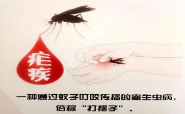 2024疟疾宣传活动总结最新6篇