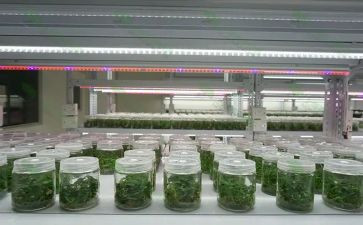 培养优秀生工作总结5篇