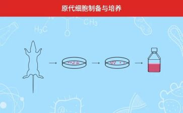 人才培养工作总结5篇