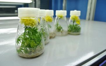 培养劳动精神心得体会5篇