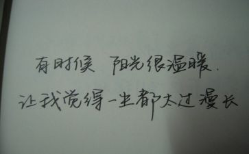 坏小子和漂亮老师读后感7篇