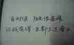 坏小子和漂亮老师读后感7篇