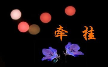 牵挂作文通用5篇