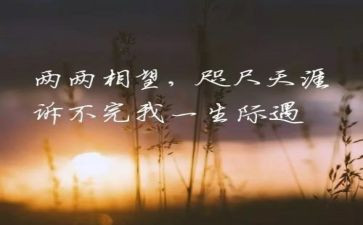 你是我最牵挂的人作文7篇