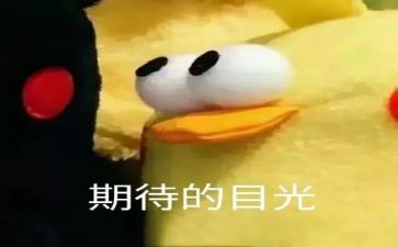 期待优秀作文7篇